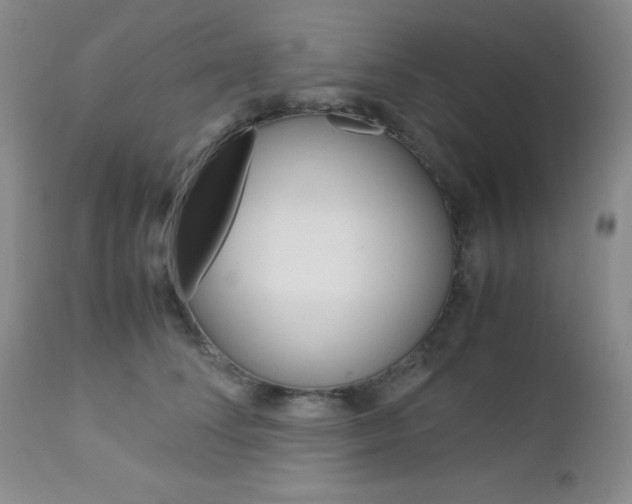 X0000113110708200908281018
