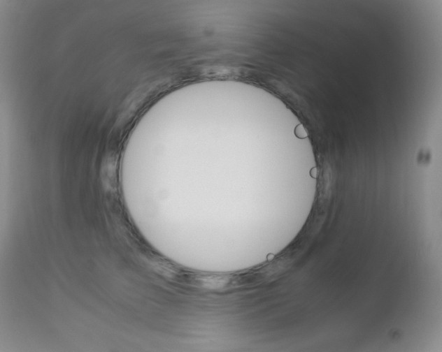 X0000113110709200908281018