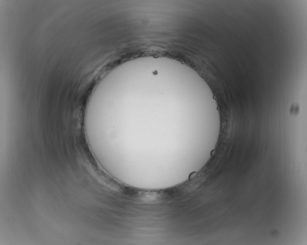 X0000113110710200908281018
