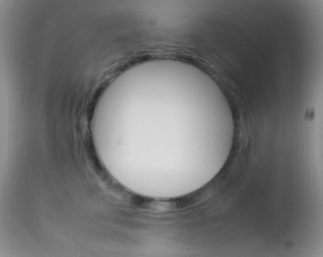 X0000113110711200908281018