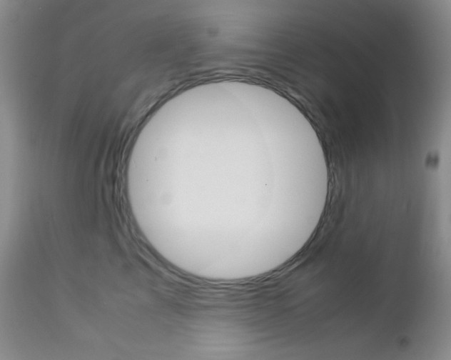 X0000113110713200908281018
