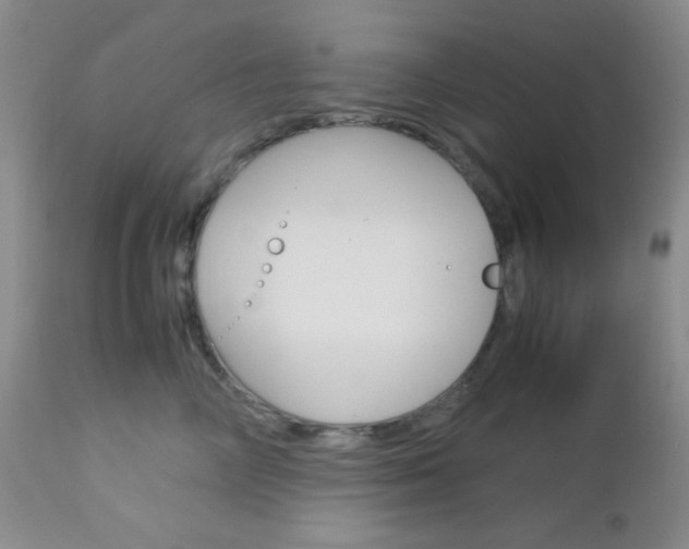 X0000113110714200908281018