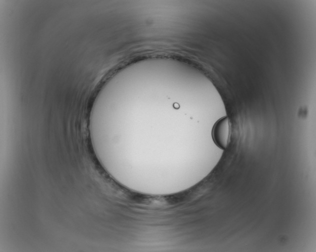 X0000113110715200908281018