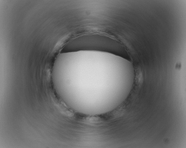 X0000113110716200908281018