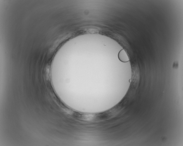X0000113110717200908281017