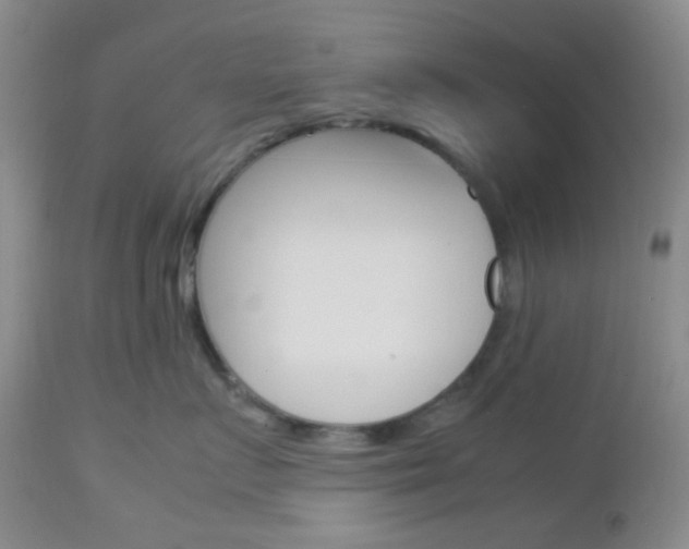X0000113110719200908281017