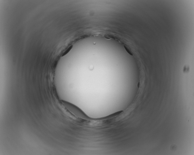 X0000113110720200908281017