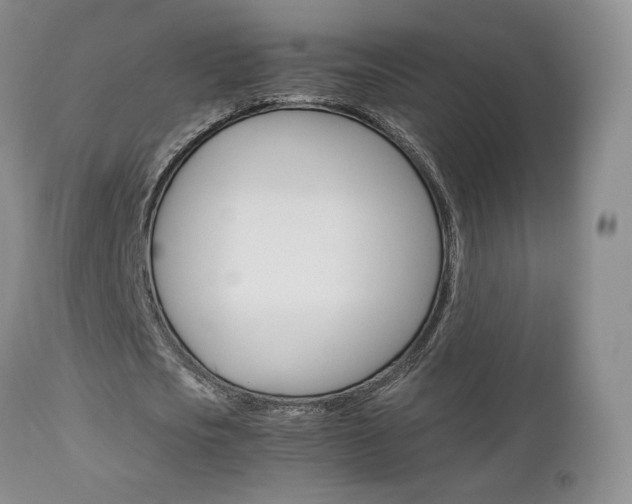 X0000113110721200908281017