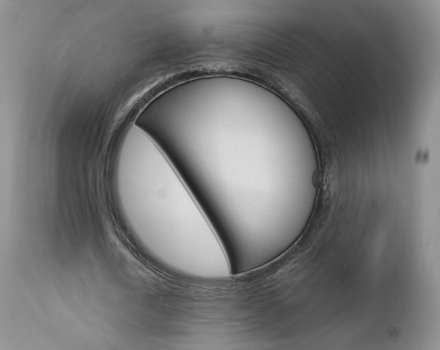 X0000113110722200908281017