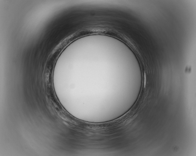 X0000113110723200908281017
