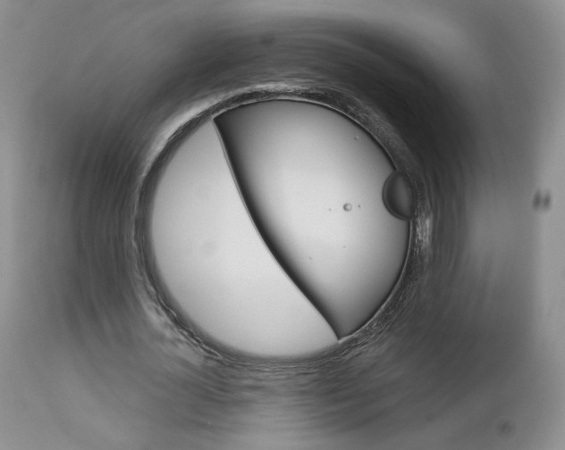 X0000113110724200908281017