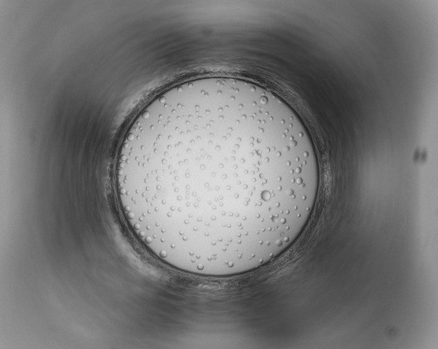 X0000113110725200908281017