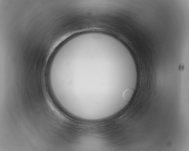 X0000113110726200908281017