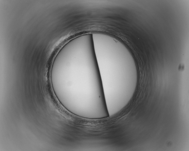 X0000113110727200908281017