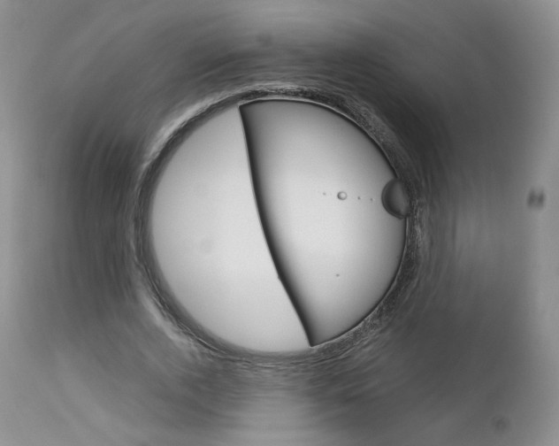 X0000113110728200908281017