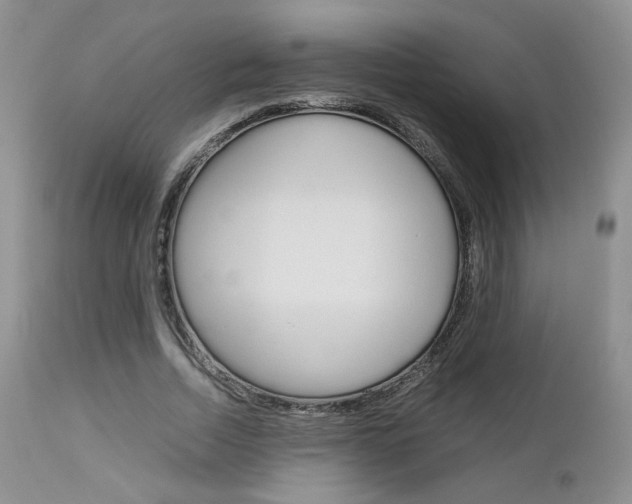 X0000113110730200908281017