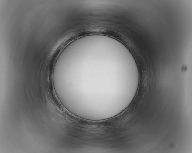 X0000113110731200908281017