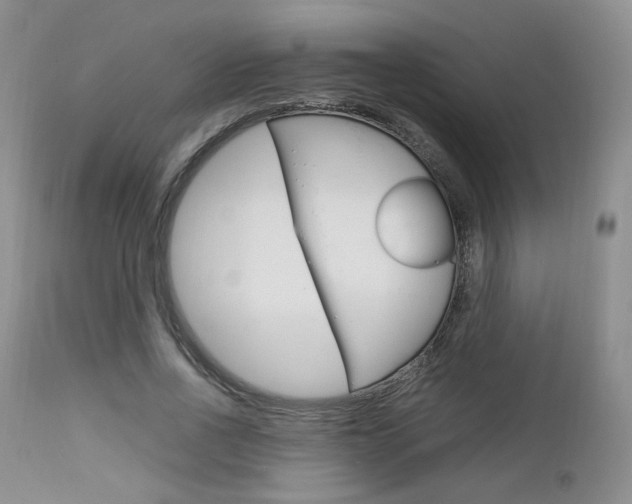 X0000113110734200908281017