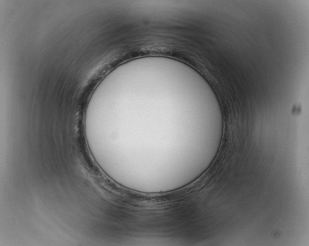 X0000113110735200908281017
