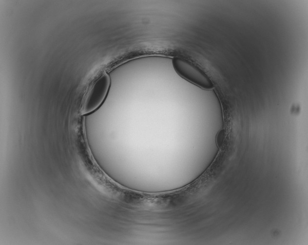 X0000113110736200908281017