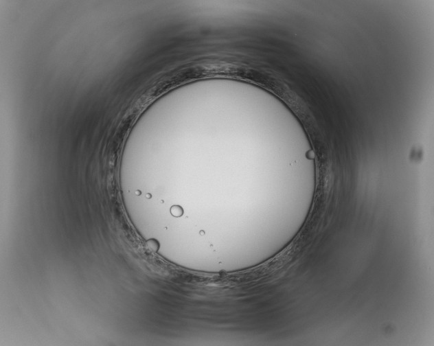 X0000113110737200908281017