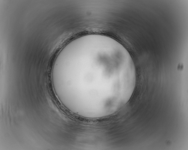 X0000113110738200908281017