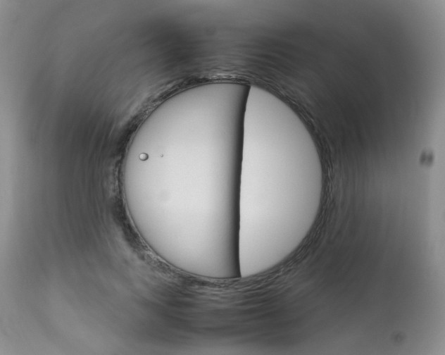 X0000113110743200908281017