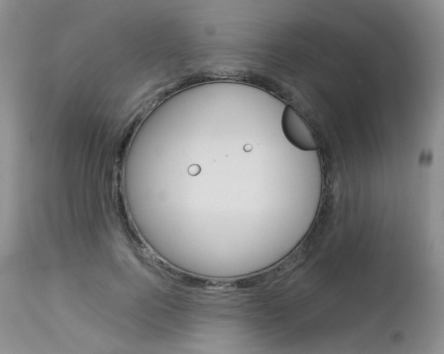 X0000113110744200908281017
