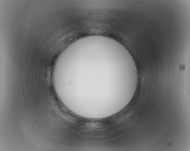 X0000113110745200908281017