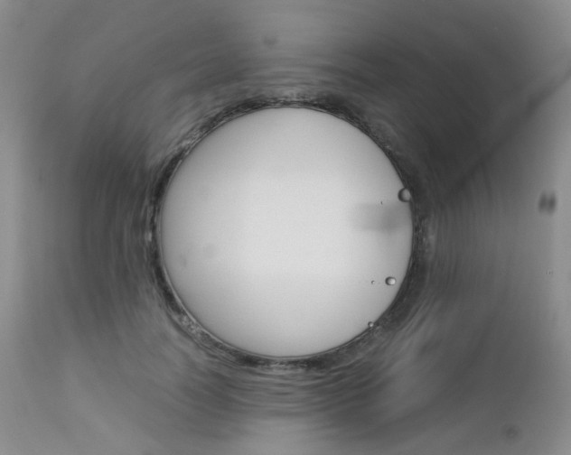 X0000113110746200908281017