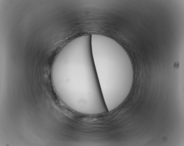 X0000113110747200908281017