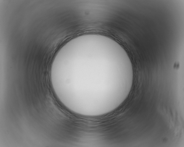 X0000113110748200908281017