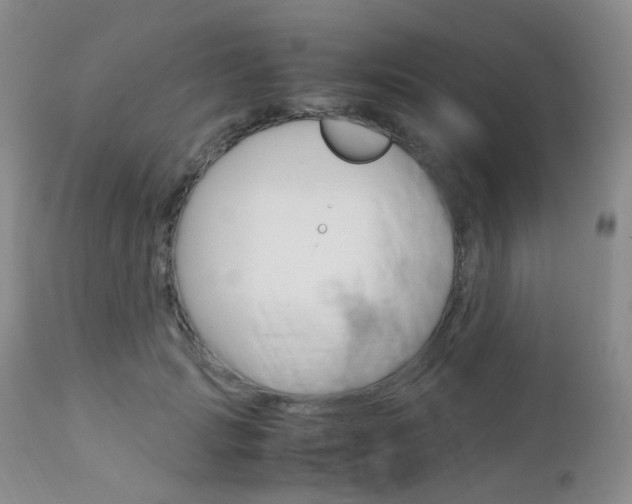 X0000113110749200908281017