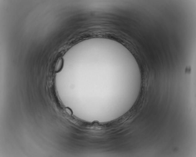 X0000113110751200908281017