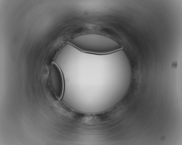 X0000113110752200908281017