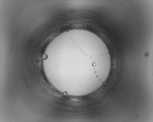 X0000113110753200908281017