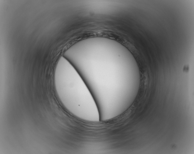X0000113110754200908281017