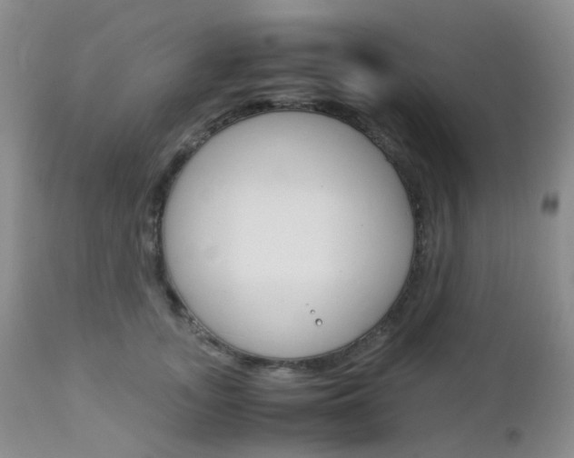 X0000113110755200908281017