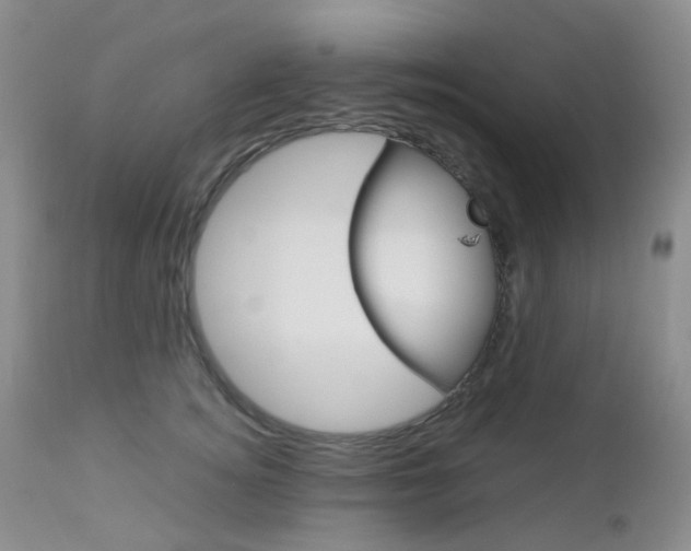 X0000113110756200908281017