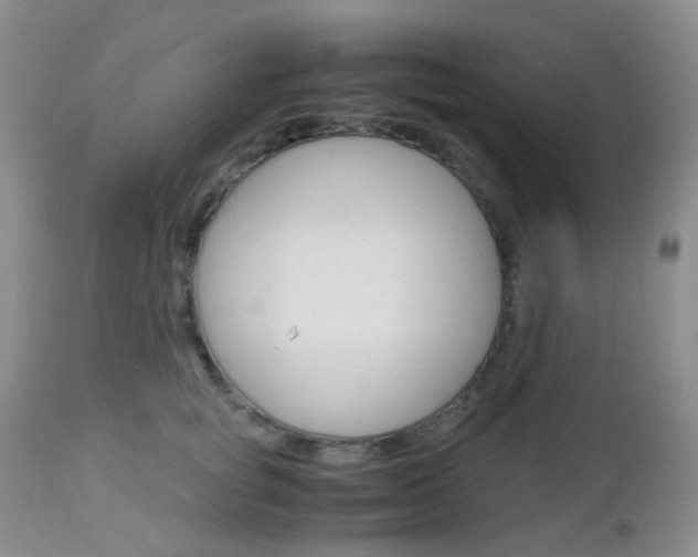 X0000113110757200908281017
