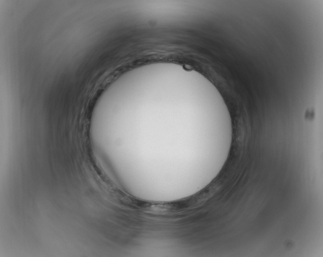 X0000113110758200908281017
