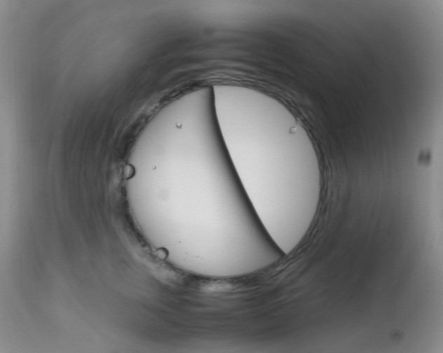 X0000113110759200908281017