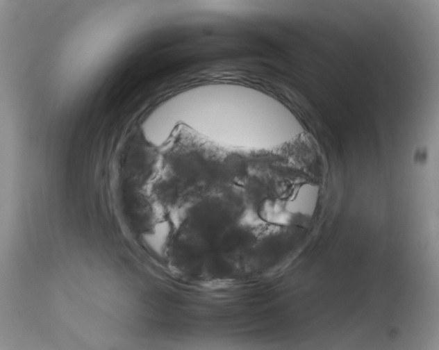 X0000113110761200908281017