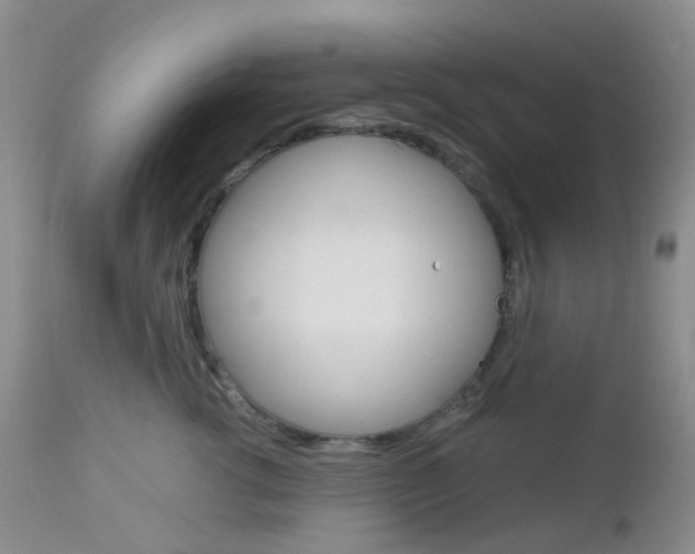X0000113110762200908281017