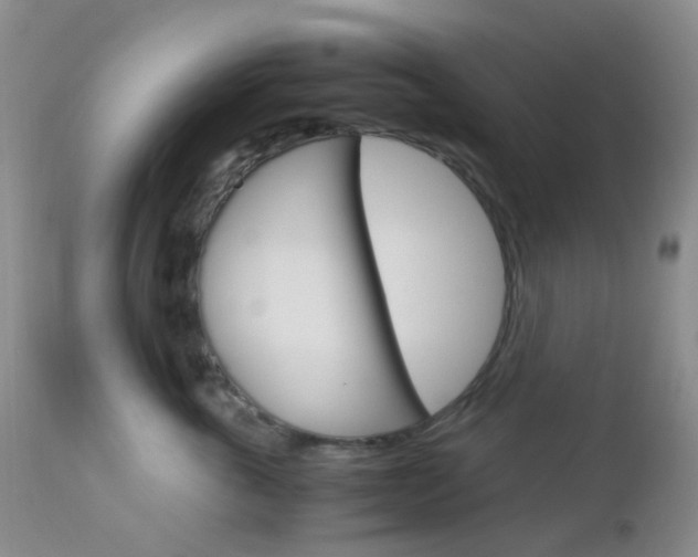 X0000113110763200908281017