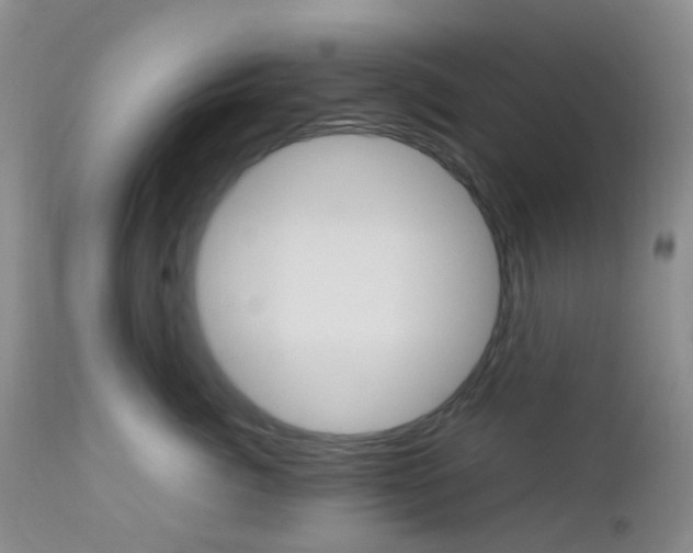 X0000113110764200908281017