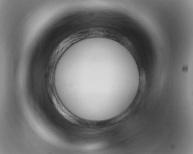 X0000113110765200908281017