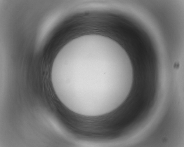 X0000113110766200908281017