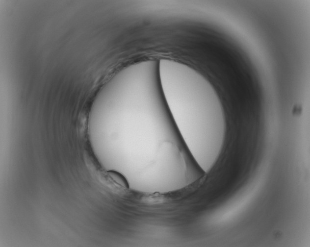 X0000113110767200908281017