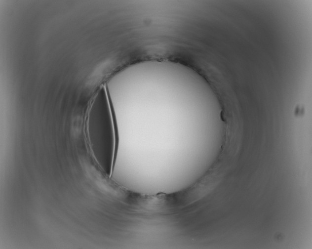 X0000113110768200908281017
